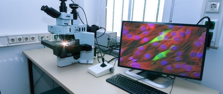 Tips for Applying to a PhD