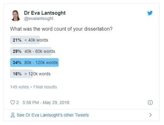 phd literature review word count