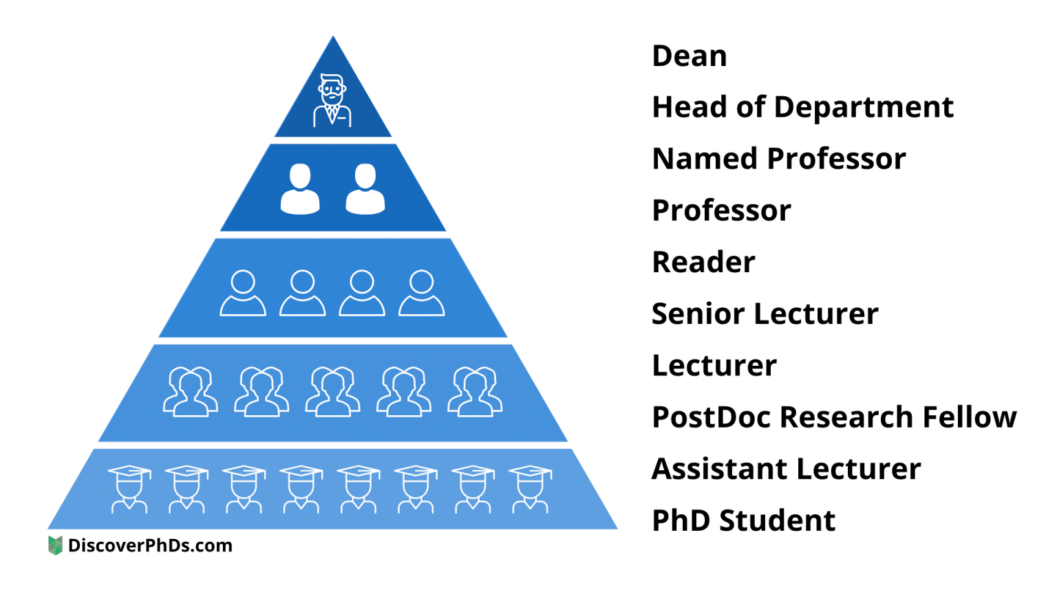 history phd titles