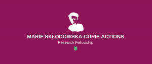 Marie Curie Fellowship