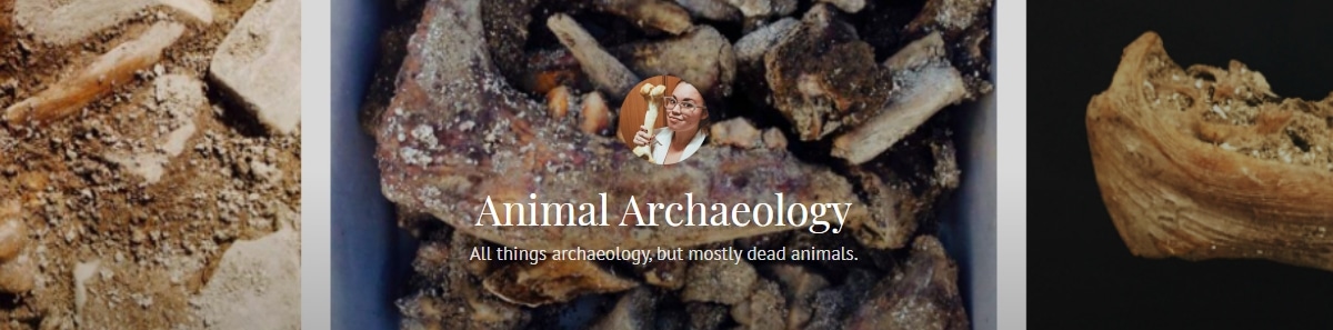 Animal Archaeology Banner