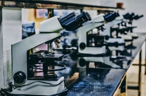 sample of appendices in thesis What is Scientific Misconduct?