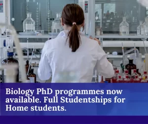 phd students can work full time